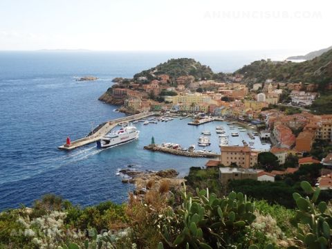 Cedesi centro sub ed escursioni all'isola del Giglio